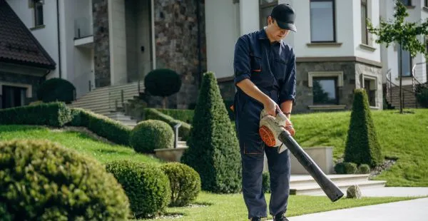 Terceirização de jardinagem: quando vale a pena?