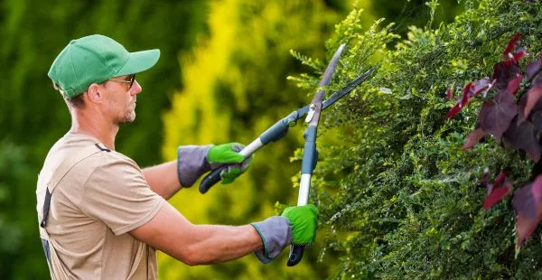 Terceirização da jardinagem: como áreas verdes bem cuidadas valorizam condomínios e empresas